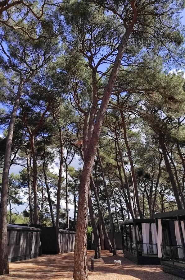 Mobile Home More Porton Nature Hideouts Rovigno Esterno foto